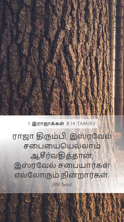 1 இராஜாக்கள் 8:14 TAMIRV Bible Verse Image