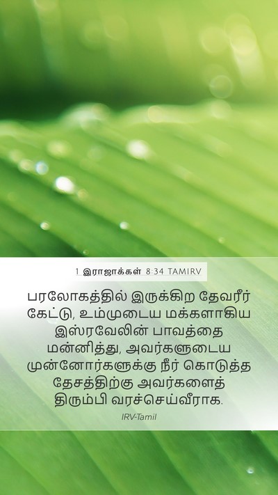 1 இராஜாக்கள் 8:34 TAMIRV Bible Verse Image