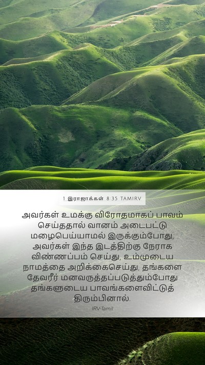 1 இராஜாக்கள் 8:35 TAMIRV Bible Verse Image