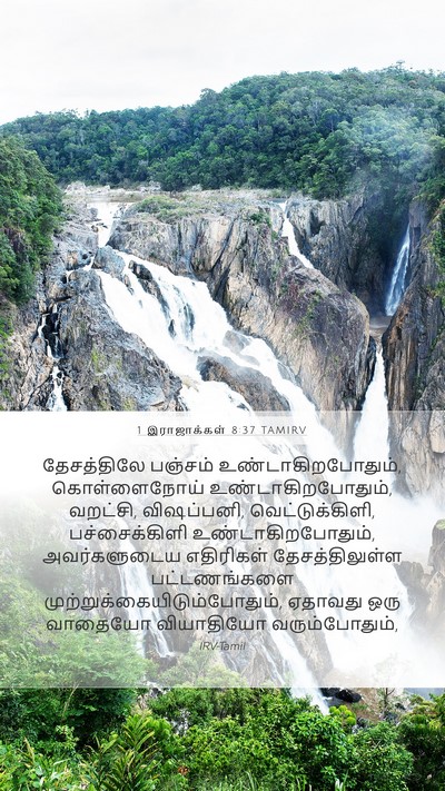 1 இராஜாக்கள் 8:37 TAMIRV Bible Verse Image
