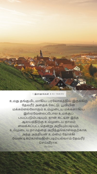 1 இராஜாக்கள் 8:43 TAMIRV Bible Verse Image
