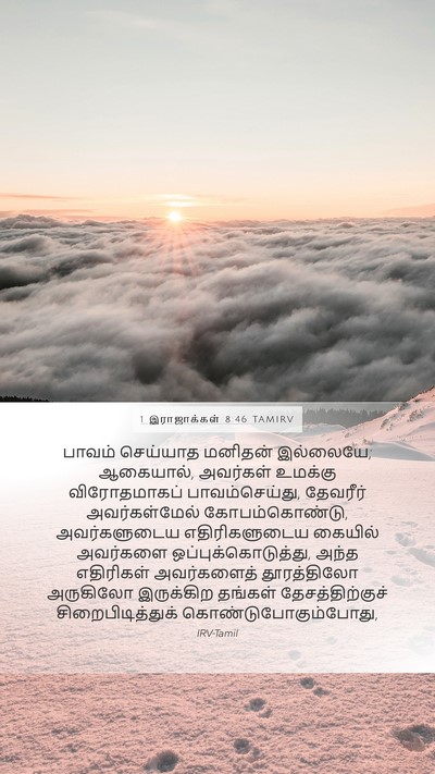 1 இராஜாக்கள் 8:46 TAMIRV Bible Verse Image