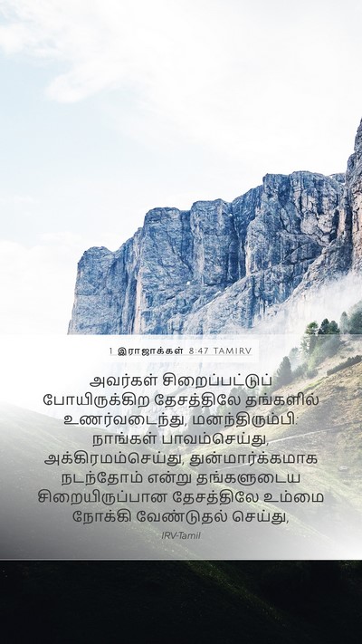 1 இராஜாக்கள் 8:47 TAMIRV Bible Verse Image