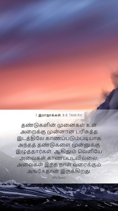 1 இராஜாக்கள் 8:8 TAMIRV Mobile Phone Wallpaper - தண்டுகளின் - Mobile Bible Verse Wallpaper