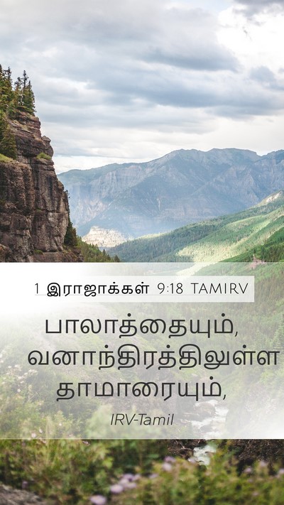 1 இராஜாக்கள் 9:18 TAMIRV Bible Verse Image