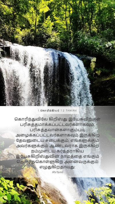 1 கொரிந்தியர் 1:2 TAMIRV Bible Verse Image