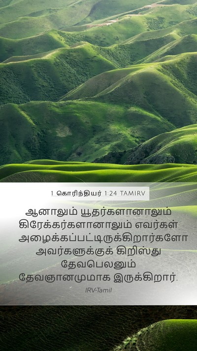 1 கொரிந்தியர் 1:24 TAMIRV Bible Verse Image