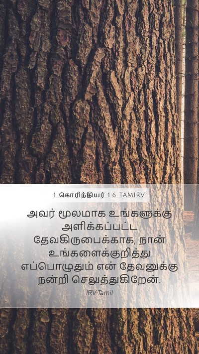 1 கொரிந்தியர் 1:6 TAMIRV Mobile Phone Wallpaper - அவர் மூலமாக - Mobile Bible Verse Wallpaper