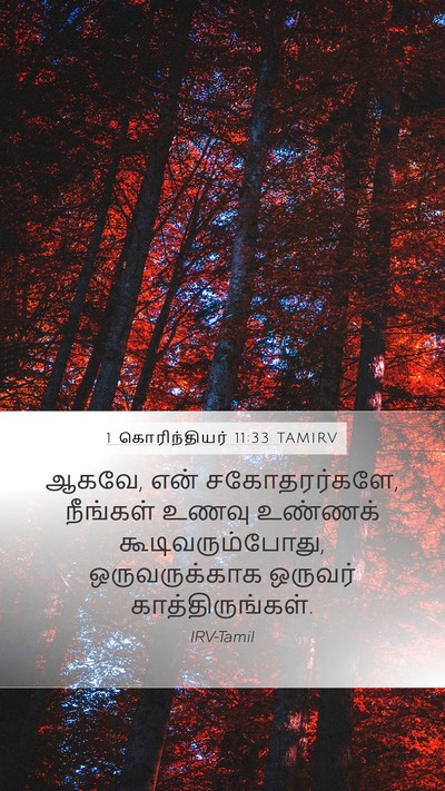 1 கொரிந்தியர் 11:33 TAMIRV Mobile Phone Wallpaper - ஆகவே, என் - Mobile Bible Verse Wallpaper
