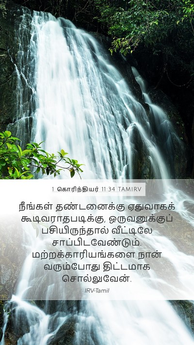 1 கொரிந்தியர் 11:34 TAMIRV Bible Verse Image