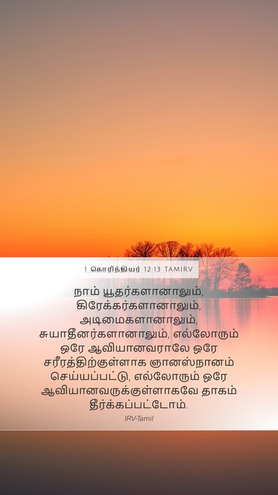 1 கொரிந்தியர் 12:13 TAMIRV Bible Verse Image