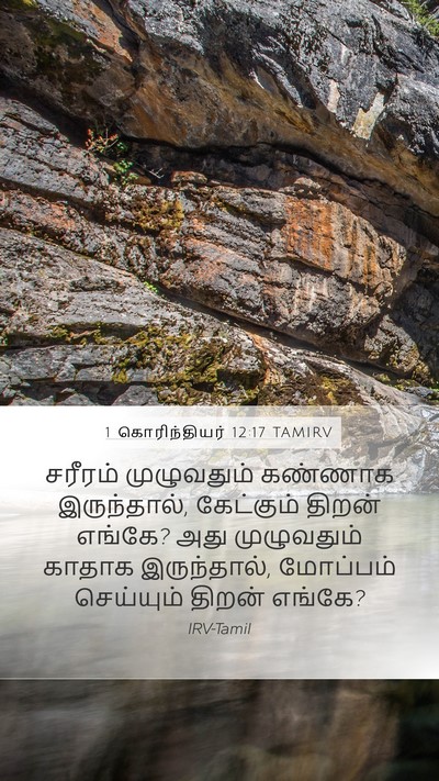 1 கொரிந்தியர் 12:17 TAMIRV Mobile Phone Wallpaper - சரீரம் முழுவதும் - Mobile Bible Verse Wallpaper