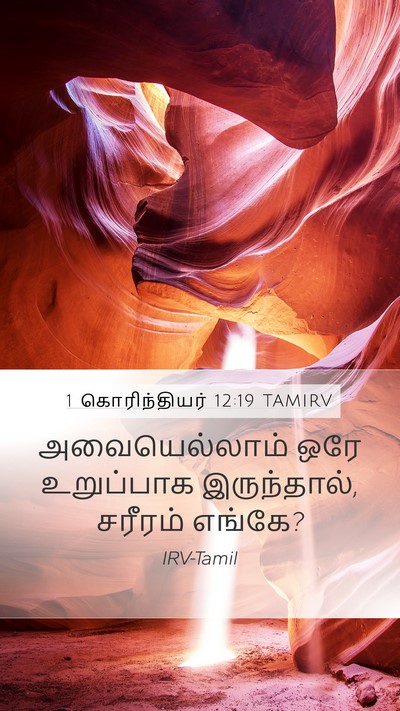 1 கொரிந்தியர் 12:19 TAMIRV Bible Verse Image