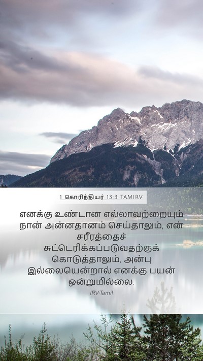 1 கொரிந்தியர் 13:3 TAMIRV Bible Verse Image