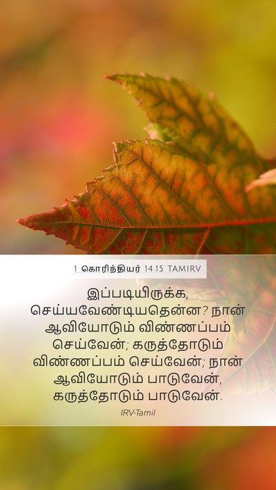 1 கொரிந்தியர் 14:15 TAMIRV Bible Verse Image