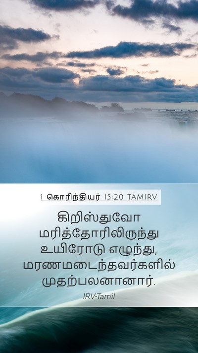 1 கொரிந்தியர் 15:20 TAMIRV Bible Verse Image