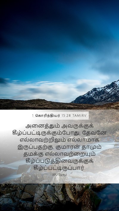 1 கொரிந்தியர் 15:28 TAMIRV Bible Verse Image