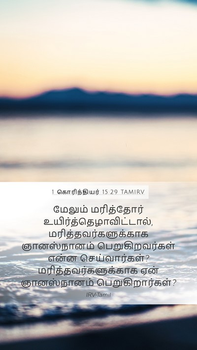 1 கொரிந்தியர் 15:29 TAMIRV Mobile Phone Wallpaper - மேலும் மரித்தோர் - Mobile Bible Verse Wallpaper