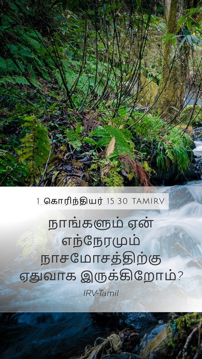 1 கொரிந்தியர் 15:30 TAMIRV Bible Verse Image