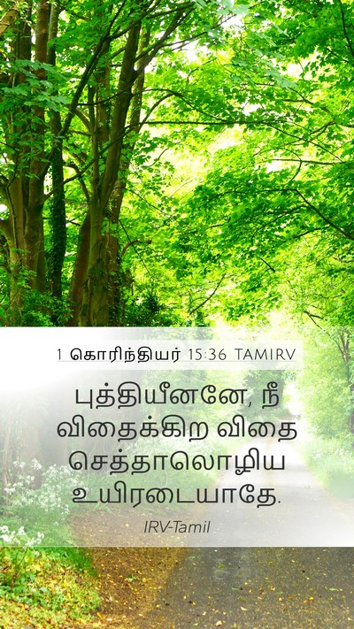 1 கொரிந்தியர் 15:36 TAMIRV Bible Verse Image