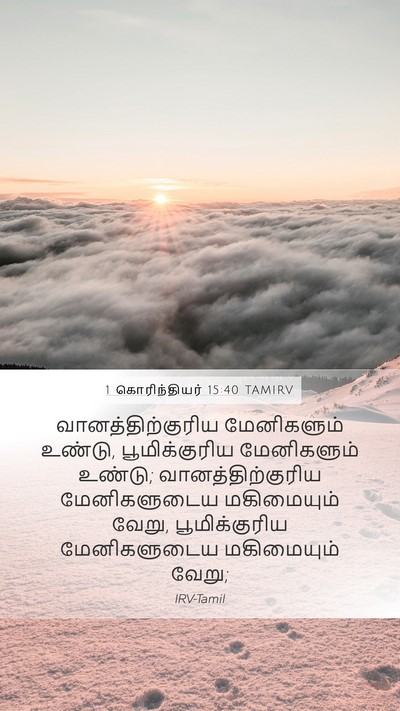1 கொரிந்தியர் 15:40 TAMIRV Bible Verse Image