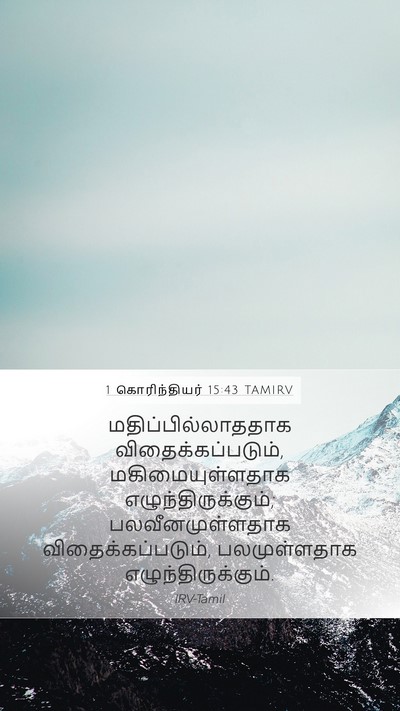 1 கொரிந்தியர் 15:43 TAMIRV Bible Verse Image