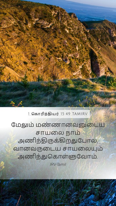 1 கொரிந்தியர் 15:49 TAMIRV Bible Verse Image