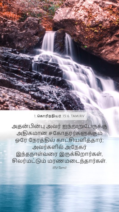 1 கொரிந்தியர் 15:6 TAMIRV Bible Verse Image