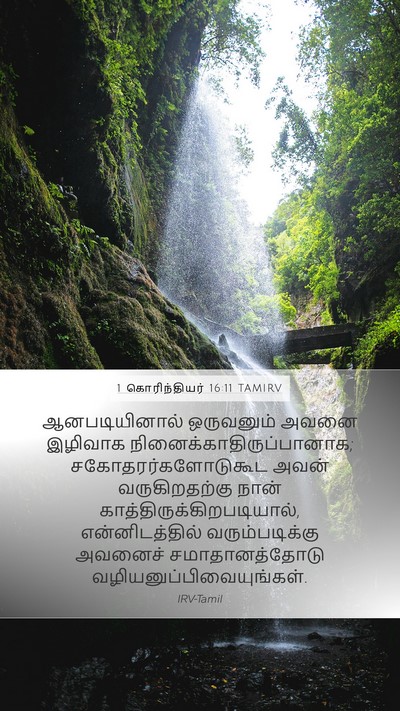 1 கொரிந்தியர் 16:11 TAMIRV Bible Verse Image