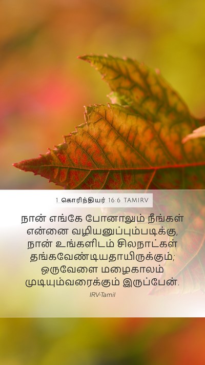 1 கொரிந்தியர் 16:6 TAMIRV Bible Verse Image