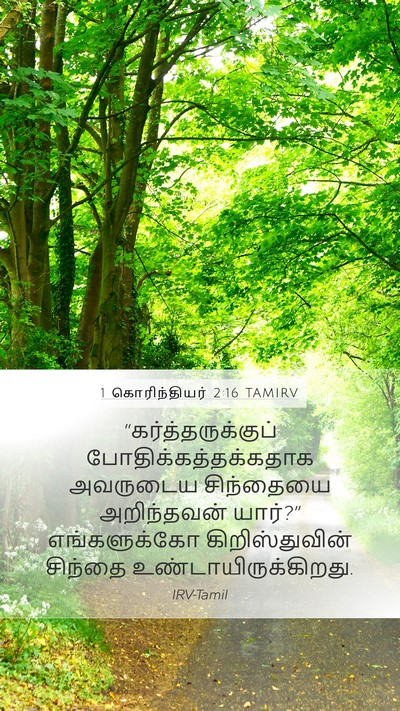 1 கொரிந்தியர் 2:16 TAMIRV Bible Verse Image