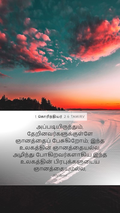 1 கொரிந்தியர் 2:6 TAMIRV Bible Verse Image