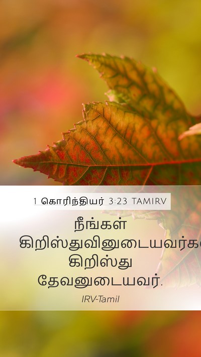 1 கொரிந்தியர் 3:23 TAMIRV Bible Verse Image