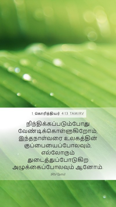 1 கொரிந்தியர் 4:13 TAMIRV Bible Verse Image