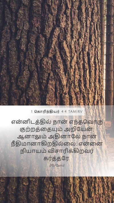 1 கொரிந்தியர் 4:4 TAMIRV Bible Verse Image