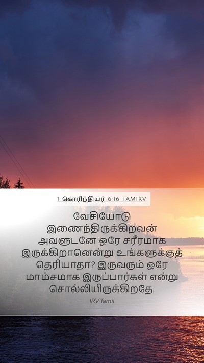 1 கொரிந்தியர் 6:16 TAMIRV Bible Verse Image