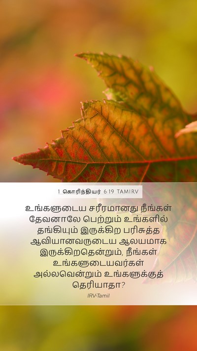 1 கொரிந்தியர் 6:19 TAMIRV Bible Verse Image