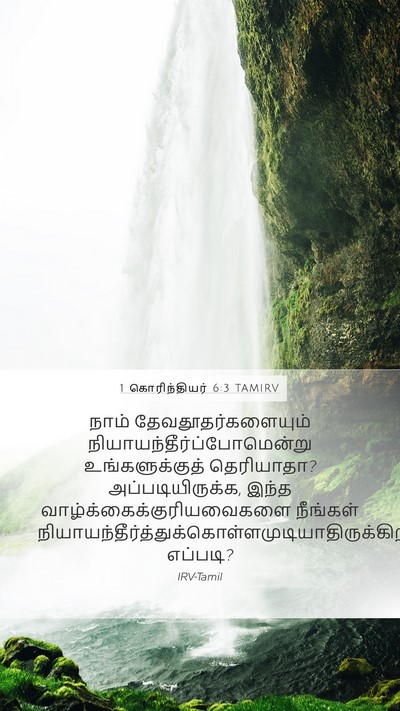 1 கொரிந்தியர் 6:3 TAMIRV Mobile Phone Wallpaper - நாம் - Mobile Bible Verse Wallpaper