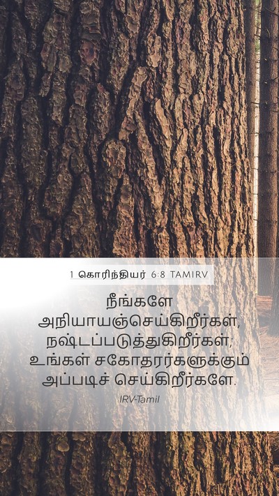 1 கொரிந்தியர் 6:8 TAMIRV Bible Verse Image