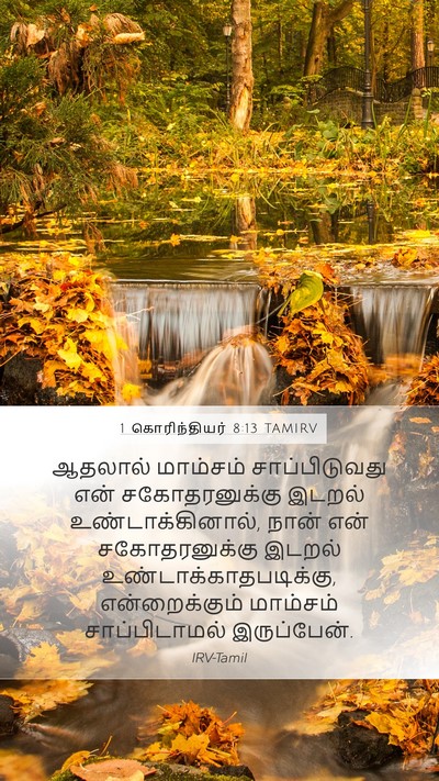 1 கொரிந்தியர் 8:13 TAMIRV Bible Verse Image
