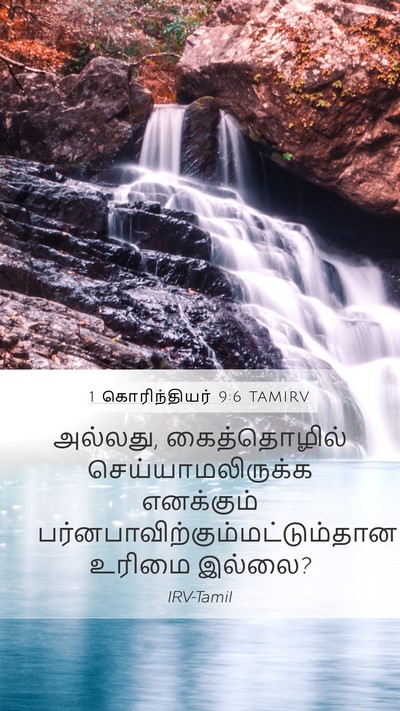 1 கொரிந்தியர் 9:6 TAMIRV Bible Verse Image