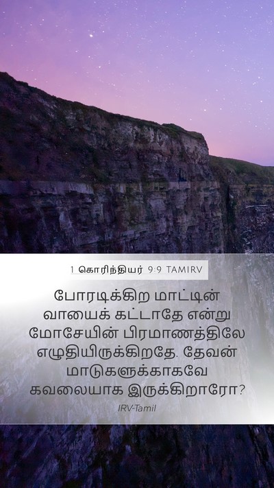 1 கொரிந்தியர் 9:9 TAMIRV Bible Verse Image