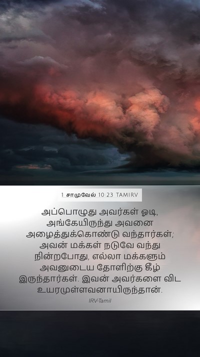 1 சாமுவேல் 10:23 TAMIRV Bible Verse Image