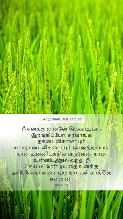 1 சாமுவேல் 10:8 TAMIRV Bible Verse Image