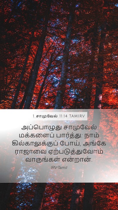 1 சாமுவேல் 11:14 TAMIRV Bible Verse Image