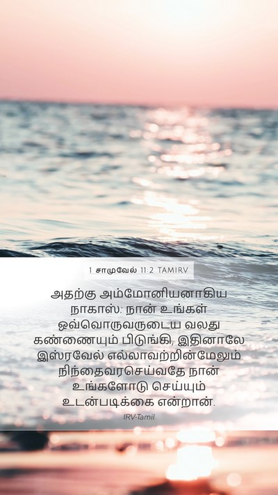 1 சாமுவேல் 11:2 TAMIRV Bible Verse Image