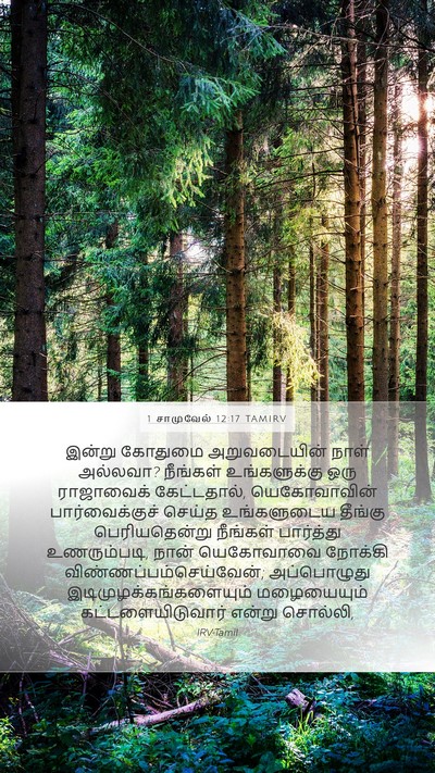 1 சாமுவேல் 12:17 TAMIRV Bible Verse Image