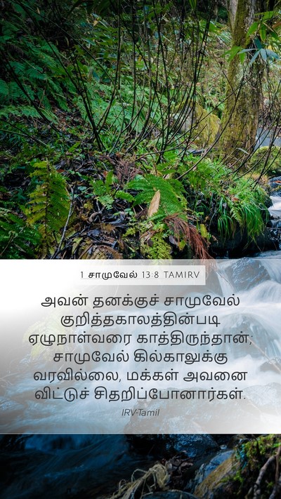 1 சாமுவேல் 13:8 TAMIRV Bible Verse Image