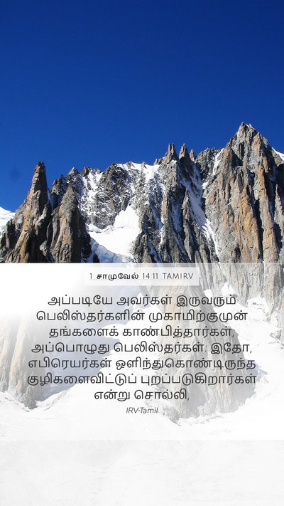 1 சாமுவேல் 14:11 TAMIRV Bible Verse Image