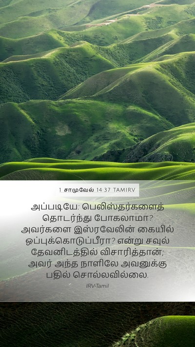 1 சாமுவேல் 14:37 TAMIRV Bible Verse Image